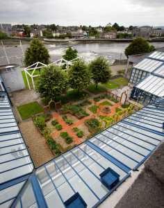 Limerick's Bloom 2014 award-winning garden at Merchant's Quay. Pic: Sean Curtin Photo.