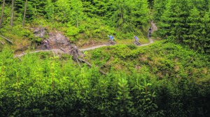 Mens field on course, credit Adrian van der Lee Photography