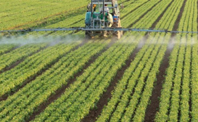 Spraying pesticide