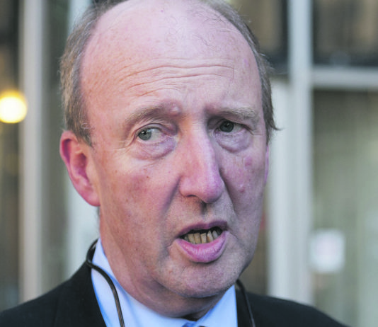 Transport Minister Shane Ross.