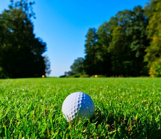 white golf ball on top of green grass field surrounded by green leaf trees