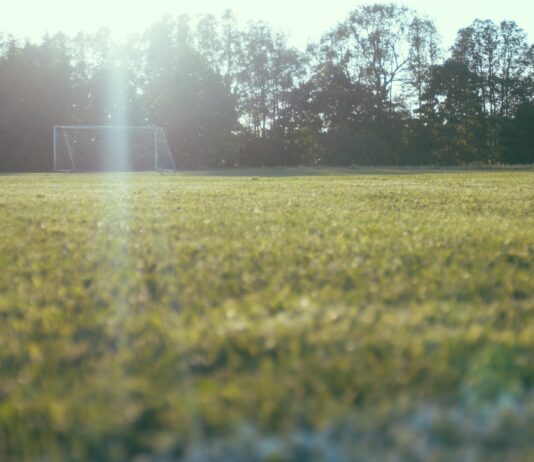 worm's view of soccer goalie on lawn near tall trees