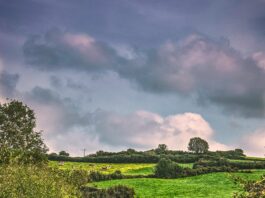 green grass field under cloudy sky during daytime