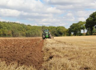 green tractor farming in field