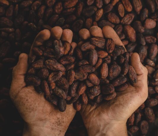 person holding dried beans