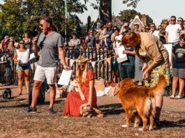 people standing on brown field during daytime