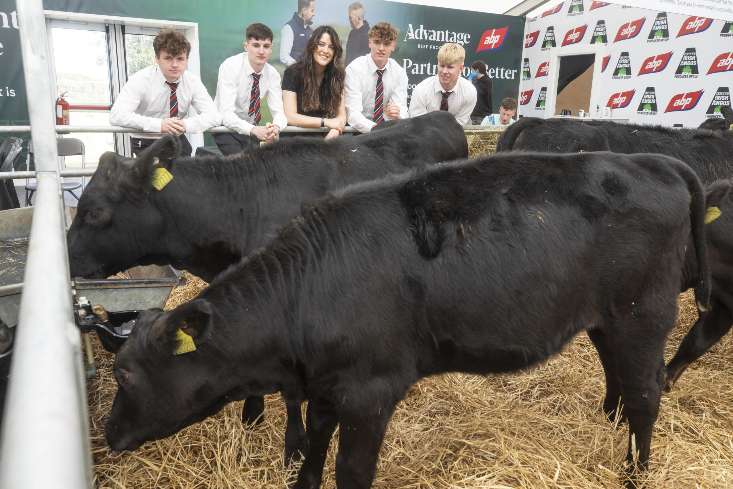 limerick-students-presented-with-calves-at-ploughing-championships