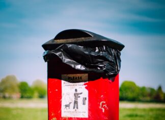 red and black trash bin on green grass field during daytime