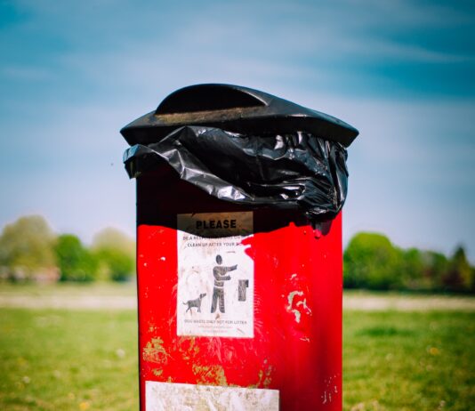 red and black trash bin on green grass field during daytime