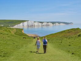 2 men standing on green grass field near body of water during daytime