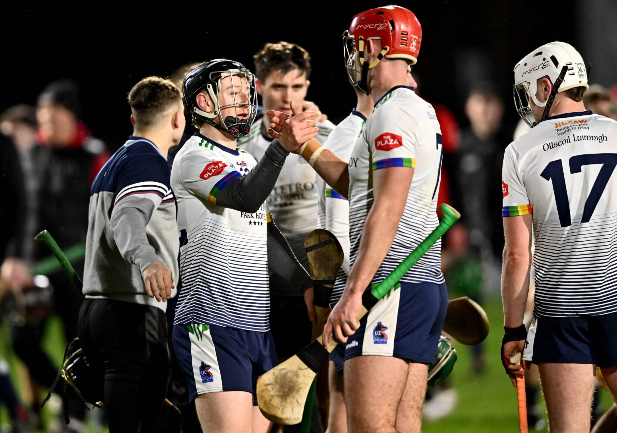 Semifinalists confirmed in Fitzgibbon Cup
